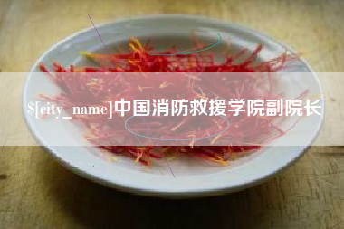 厦门中国消防救援学院副院长