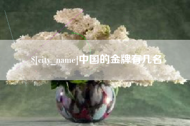 厦门中国的金牌有几名