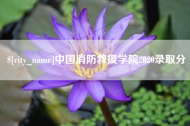 厦门中国消防救援学院2020录取分