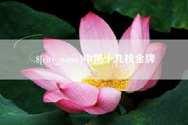 厦门中国十九枚金牌