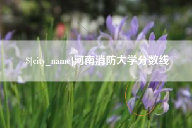 厦门河南消防大学分数线