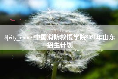 厦门中国消防救援学院2021年山东招生计划