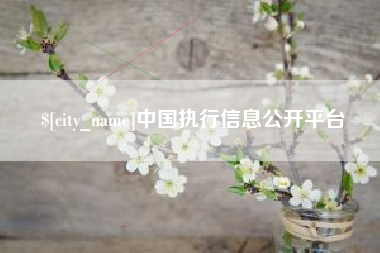 厦门中国执行信息公开平台
