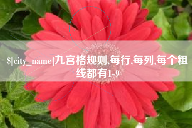 厦门九宫格规则,每行,每列,每个粗线都有1-9
