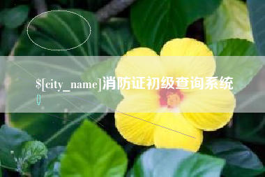 厦门消防证初级查询系统