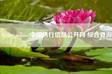 厦门中国执行信息公开网 综合查询