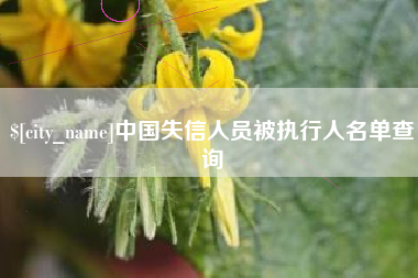 厦门中国失信人员被执行人名单查询