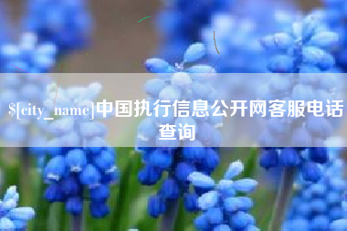 厦门中国执行信息公开网客服电话查询