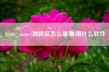 厦门消防证怎么查询,用什么软件