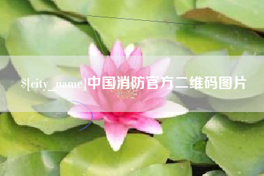 厦门中国消防官方二维码图片
