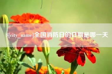 厦门全国消防日的日期是哪一天