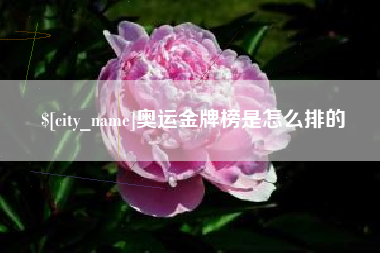 厦门奥运金牌榜是怎么排的