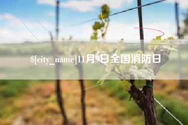 厦门11月9日全国消防日