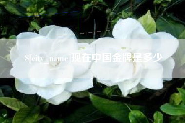 厦门现在中国金牌是多少