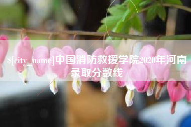厦门中国消防救援学院2020年河南录取分数线