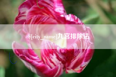 厦门九宫排除法