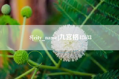 厦门九宫格42633