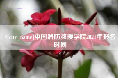 厦门中国消防救援学院2021年报名时间