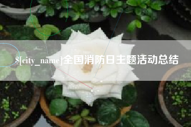 厦门全国消防日主题活动总结