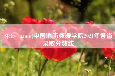 厦门中国消防救援学院2021年各省录取分数线