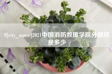 厦门2021中国消防救援学院分数线是多少
