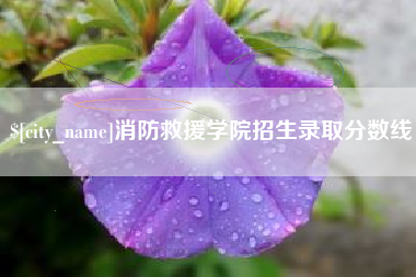 厦门消防救援学院招生录取分数线