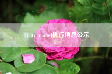 厦门执行信息公示
