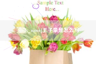 厦门王子豪是怎么写