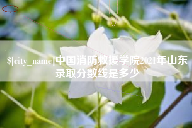厦门中国消防救援学院2021年山东录取分数线是多少
