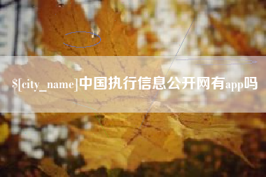 厦门中国执行信息公开网有app吗