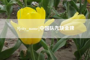 厦门中国队九块金牌