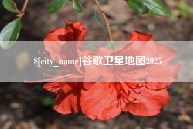 厦门谷歌卫星地图2025