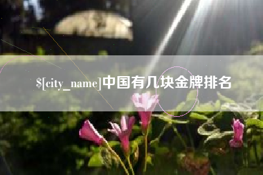 厦门中国有几块金牌排名