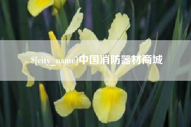 厦门中国消防器材商城