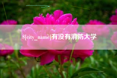 厦门有没有消防大学