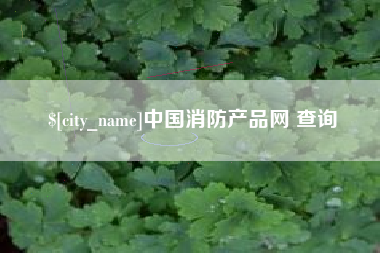 厦门中国消防产品网 查询