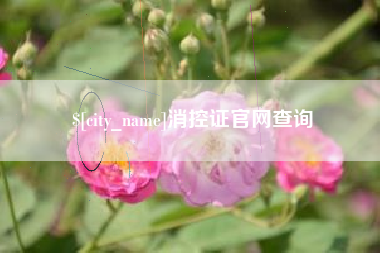 厦门消控证官网查询