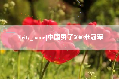 厦门中国男子5000米冠军