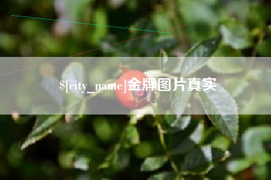 厦门金牌图片真实