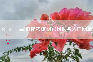 厦门消防考试网官网报名入口网址