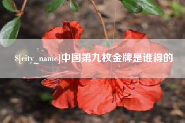 厦门中国第九枚金牌是谁得的