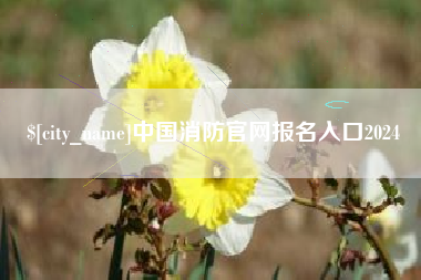 厦门中国消防官网报名入口2024