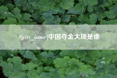 厦门中国夺金大项是谁