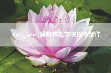 厦门消防救援学院报考条件