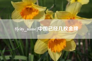 厦门中国已经几枚金牌