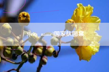 厦门国家队图案