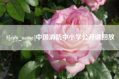 厦门中国消防中小学公开课回放