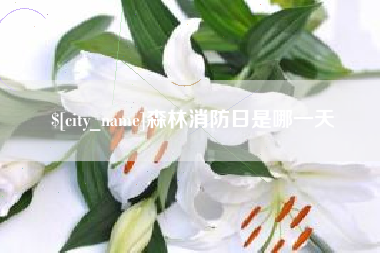 厦门森林消防日是哪一天