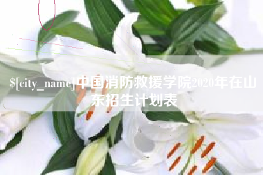 厦门中国消防救援学院2020年在山东招生计划表