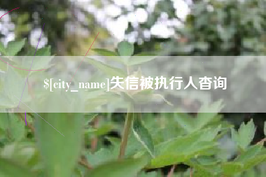 厦门失信被执行人杳询